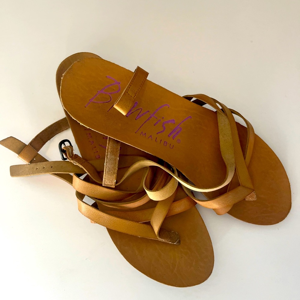 Blowfish gladiator sandal